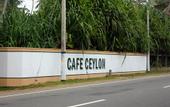 Туры в отель Cafe Ceylon