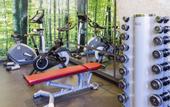 Туры в отель Novotel Sevilla
