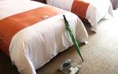 Туры в отель Holiday Inn Shanghai Pudong Kangqiao