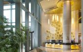 Туры в отель Holiday Inn Shanghai Pudong Kangqiao