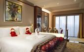 Туры в отель Chateau Star River