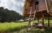 Туры в отель Mandapa a Ritz-Carlton Reserve
