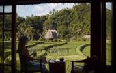 Туры в отель Mandapa a Ritz-Carlton Reserve