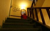Туры в отель Hotel Villa Kinzica