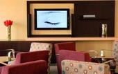 Туры в отель Confortel Caleta Park