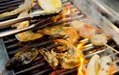 Туры в отель Royal M Hotel Fujairah by Gewan