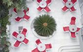 Туры в отель Alantha Apartments