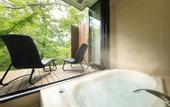 Туры в отель Hotel Shikisai