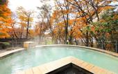 Туры в отель Hotel Shikisai
