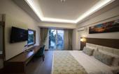 Туры в отель Yeniceri City Hotel