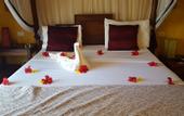 Туры в отель VOI Kiwengwa Resort