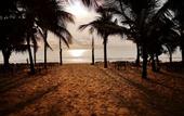 Туры в отель VOI Kiwengwa Resort