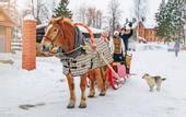 Туры в отель Малиновая Слобода