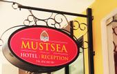 Туры в отель Must Sea Hotel