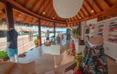 Туры в отель Constance Halaveli Maldives
