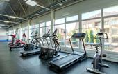 Туры в отель Медведь Resort