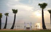 Туры в отель Movenpick Siam Hotel Na Jomtien Pattaya