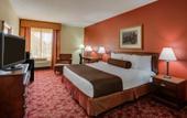 Туры в отель Best Western Fort Lauderdale Airport Cruise Port