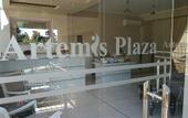 Туры в отель Artemis Plaza