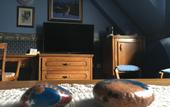 Туры в отель Odeon Hotel