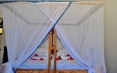Туры в отель Sea View Lodge