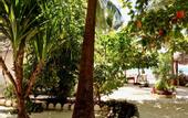 Туры в отель Sea View Lodge