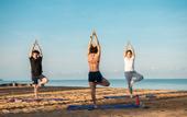 Туры в отель The Haven Khao Lak