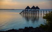 Туры в отель Fruit & Spice Wellness Resort Zanzibar