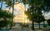 Туры в отель Indigo Beach Zanzibar