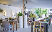 Туры в отель Indigo Beach Zanzibar