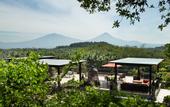 Туры в отель Plataran Borobudur Resort & Spa