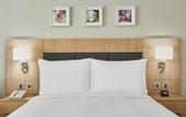 Туры в отель Hilton Garden Inn Dubai Mall Of The Emirates
