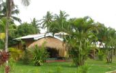 Туры в отель Mangrove Villa Ayurveda Resort