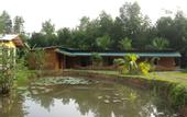 Туры в отель Mangrove Villa Ayurveda Resort