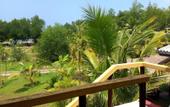 Туры в отель Mangrove Villa Ayurveda Resort