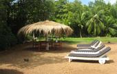 Туры в отель Mangrove Villa Ayurveda Resort