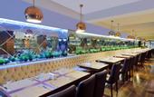 Туры в отель Tiara Hotel & Spa
