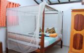 Туры в отель Blue Star Beach Hotel