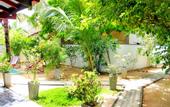 Туры в отель Blue Star Beach Hotel