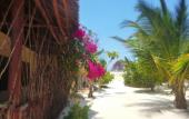 Туры в отель Zanzest Beach Bungalows