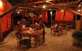 Туры в отель Zanzest Beach Bungalows