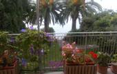 Туры в отель Theoxenia Hotel Loutraki