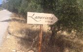 Туры в отель Lameriana Secret Village