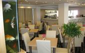 Туры в отель Mimosa Hotel