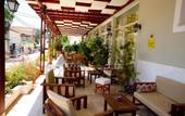 Туры в отель Oassis Hotel