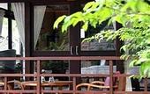 Туры в отель Cookies Salad Resort