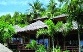 Туры в отель Cookies Salad Resort