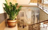 Туры в отель Hotel Rosa Del Viento