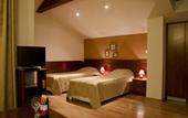 Туры в отель Bizev Hotel
