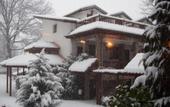 Туры в отель Teddy House